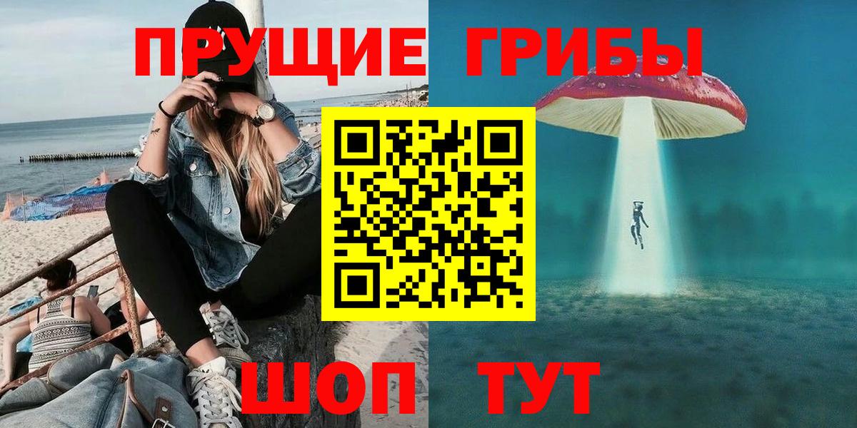 Вязники  Псилоцибиновые грибы MAGIC MUSHROOMS  Вход с VPN 