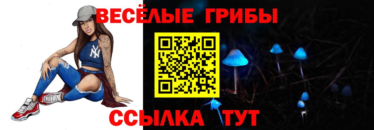Псилоцибиновые грибы ЛСД Вязники
