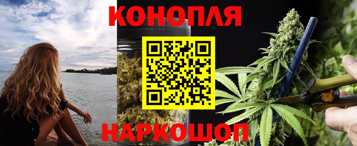 Конопля Bruce Banner Вязники